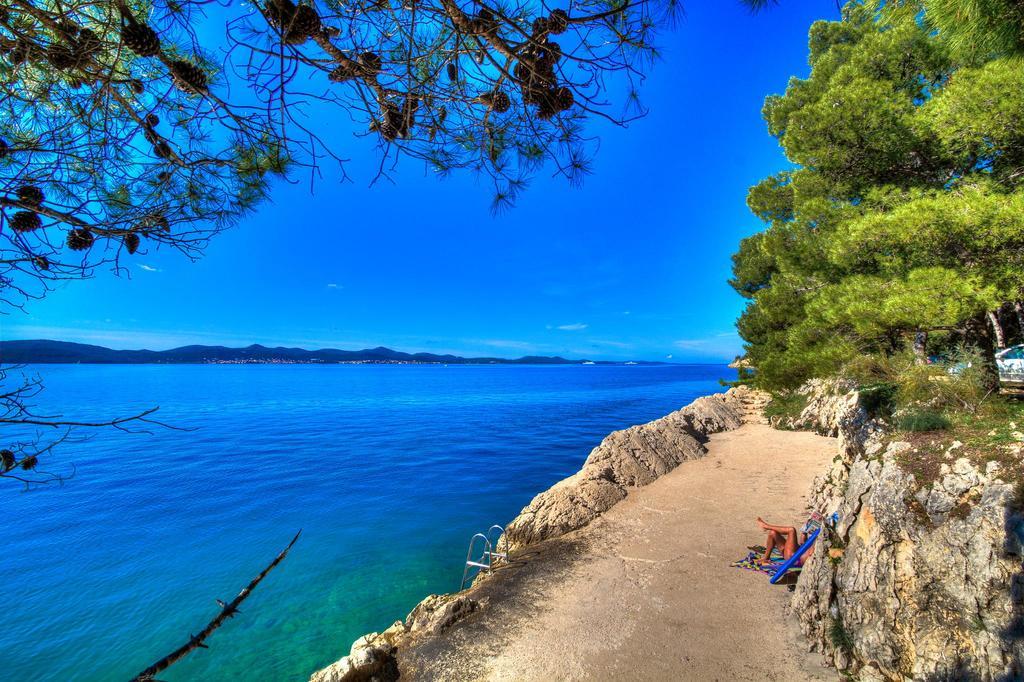 Rose Apartment Zadar Rom bilde