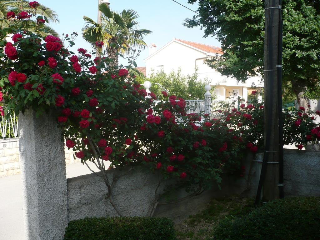 Rose Apartment Zadar Rom bilde