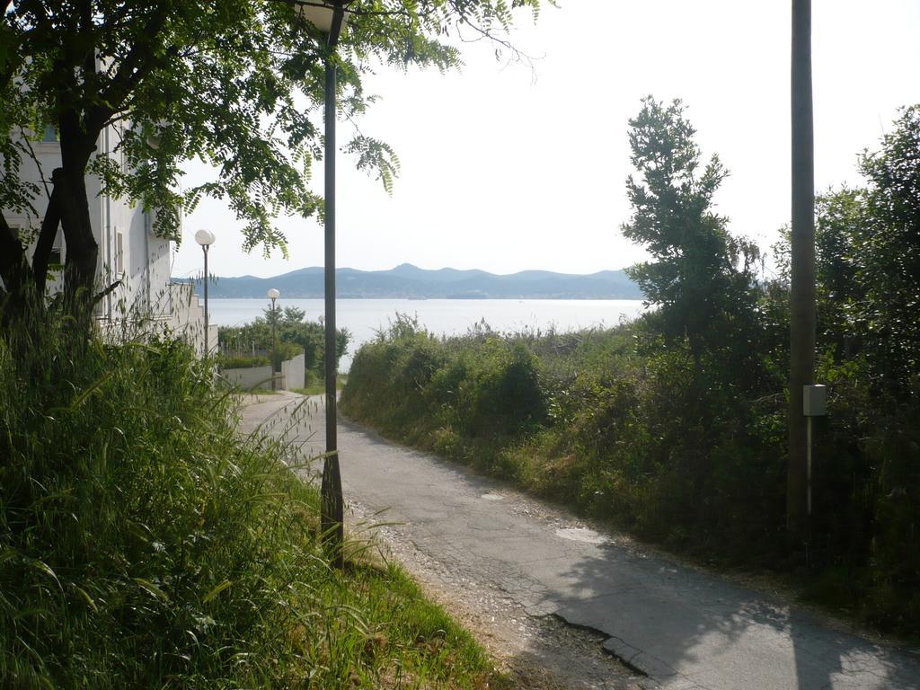 Rose Apartment Zadar Rom bilde